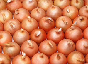 Onion