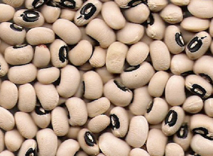 Black Eyed Bean