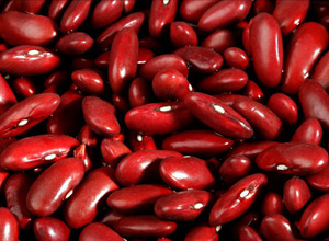 Red Kidney Bean