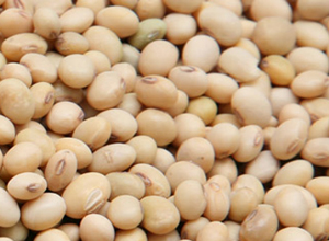 Soya Bean(Pepoke)