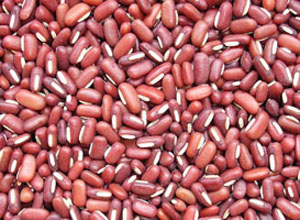 Red Bamboo Bean